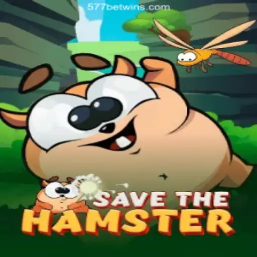 SavetheHamster: A Unique Gaming Experience Combined with Trusted Betting Services